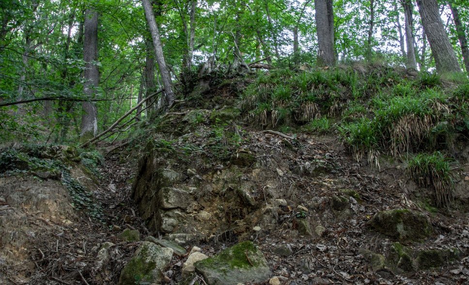 Burgstelle Alt-Scharfeneck, Frankweiler, Germany, Germany